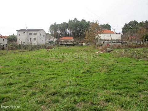 Land in Arnozela Land with about 1,900 m2, two construction fronts with possibility of highlight to make two individual villas, good access, excellent sun exposure. Buy with ERA Fafe ERA Fafe opened its doors in 2005 and built an upward path that is ...