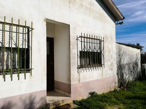 Gelijkvloers huis klaar om in te trekken, gelegen in Ferreira do Zêzere, dicht bij het centrum van het dorp en in een zeer rustige omgeving. De stad Tomar en het dorp Dornes, een van de 7 wonderen van Portugal, liggen op ongeveer 15 minuten afstand. ...