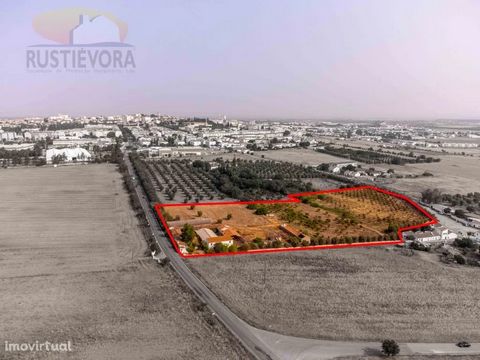 Urban land with about 2.9ha located southeast of the city of Beja. Included in the class of Urbanized Land - Residential Space of the Municipal Master Plan of Beja. Excellent opportunity for investment in Housing with NERBE | AEBAL (Baixo Alentejo Bu...