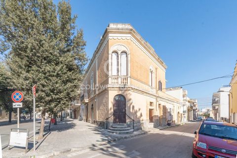 SALENTO - NARDO' (LECCE) In the central area, a few steps from the renowned and beautiful historic center, rich in history and fascinating baroque architecture, we are pleased to offer for sale a large room spread over two levels with different and i...