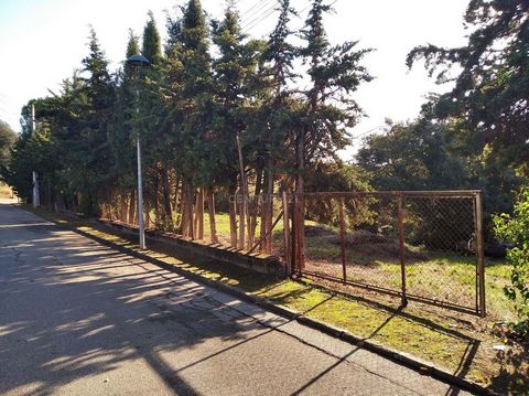 You are tired of looking for a house and not finding what you want, then do not think about it anymore. Here is your great opportunity, a 1,254m2 corner plot, to build the house of your dreams and live in the middle of nature, a very quiet residentia...