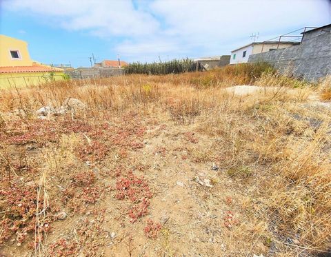 Excellent land in Porto Santo. Flat land of easy construction, with mountain views and the emblematic Pico Castelo. By car, 5 min from the village centre. Very quiet and sunny place. The land is urban and has an area of 555m2. With the possibility of...