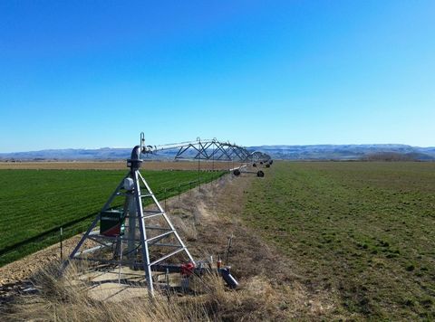 The Homedale Half Pivot property located in Owyhee County, renowned for it's agriculture industry, offers an opportunity to invest in irrigated farmland. Whether you're looking to expand your farming operations or embark on a new venture in agricultu...