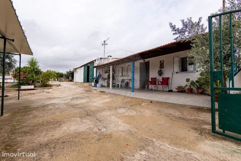 Fantastic farm for sale, located about 20 minutes from Castelo Branco and in the vicinity of the town of Mata. Secluded and quiet location, it has an area of 5220 m2, fully walled and fenced. It consists of four built-up areas, varied fruit trees, ol...