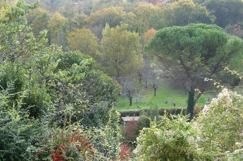 photo no. 23