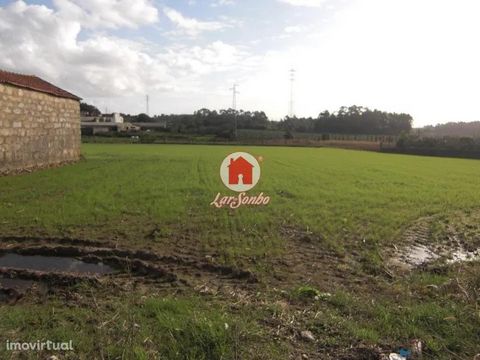House to recover with 7000m2 of land, situated in a quiet area, surrounded by nature. If you like living in a quiet area, do not miss the opportunity to restore to your liking.