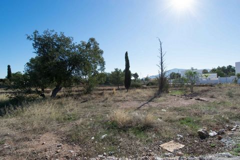 On this large plot, one has the possibility to construct a spacious detached villa of aproximately 350m2 (Underbuilt + Ground floor + 1st floor)