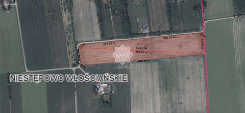 FOR SALE agricultural land with a total area of 52,008.00 m2 located in the picturesque village of Niestępowo Włościańskie, in the Pokrzywnica commune, Pułtuski district, Masovian Voivodeship. The property is located in a quiet and picturesque area, ...