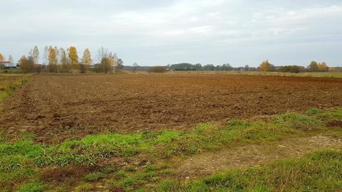 Agricultural land - 55 ares - Samoupadi, Kamionka commune. Plot: - 5500 m² - agricultural land - access via a paved road - Shape: Rectangle - Terrain: flat Dimensions: - width: 43 m - depth: 128 m Media: - water: approx. 300 m from the plot - by the ...