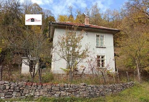 Imoti Konsult offer for sale a house in the town of Plachkovtsi. Plachkovtsi is located in a mountainous area, at the foot of the Tryavna Mountain, with an altitude of 510 m. A picturesque town is famous for its clean air, beautiful nature and is an ...