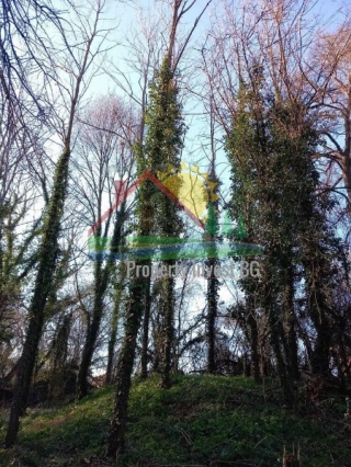 Price: €21.500,00 District: Veliko Tarnovo Category: Building Plot Plot Size: 6500 sq.m. Location: Countryside Large building land for sale in the village of Rusalia, Veliko Tarnovo region. This building land is definitely for people who love and app...