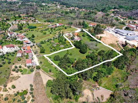 Exceptional Investment Opportunity:Home or Possible Tourist Opportunity near Camino de Santiago Explore this unique property offering an expansive estate featuring two houses, with a total of 20,000m2 of fertile, flat land, adorned with lush trees pr...