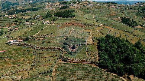 Excellent business opportunity for those looking to invest in a refuge in the Douro and / or for those who want to make investment in Local Accommodation / Agrotourism. With wide and privileged views of the Douro, recently recognized by UNESCO as a W...