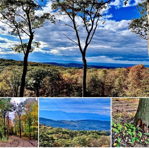 205 ACRES Among the vast expanse of trees lies the serenity and peacefulness of nature on this amazing parcel of land. Come view the panoramic beauty on this 205 acre lot of pure bliss. Topography lends to spectacular potential views to the south, we...