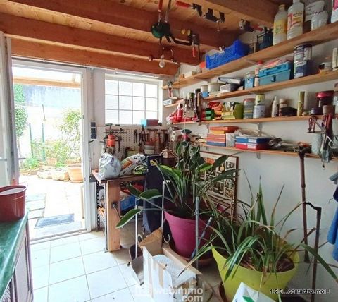 photo no. 11