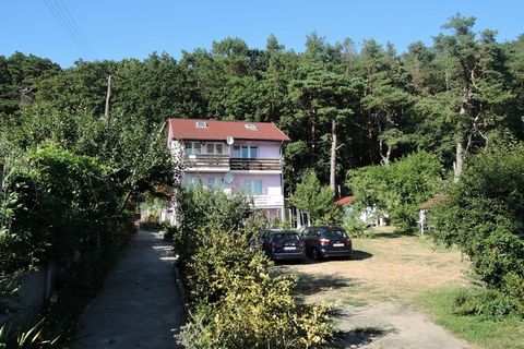 Gemütliche Doppelhaushälfte am Wald von Wiselka. Sie verfügt über ein Wohn-, Esszimmer mit Küchenzeile und drei Schlafzimmer und Platz für bis zu sieben Personen. Der ideale Ort für Naturliebhaber und Familien mit Kindern. Das kleine, verträumte und ...