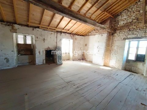 photo no. 11