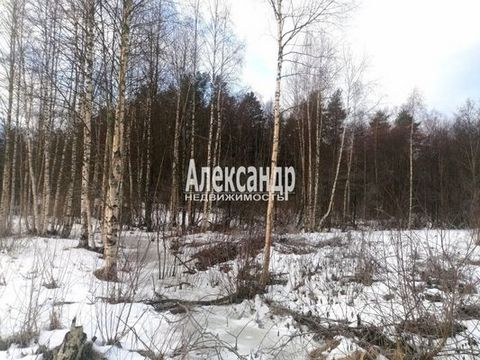 Located in ДНП Северное раздолье.