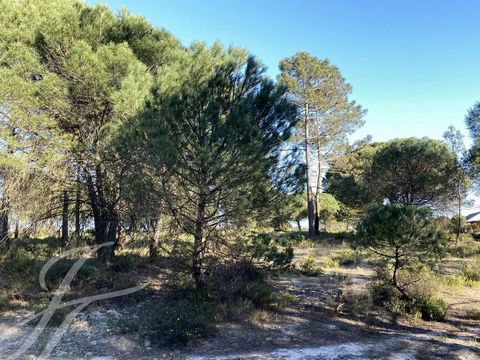 Urban Land | 1,033 m2 | Architectural Project House V7 | Total construction area 300 m2 | Excellent location | Brejo da Carregueira de Baixo, Comporta This is an exclusive plot of 1,033 m2, in a closed condominium, inserted in Herdade da Comporta, in...