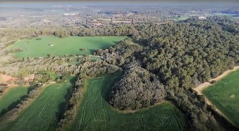 . Wir präsentieren Ihnen ein Landhaus in der malerischen Umgebung von Alaior, einem Ort, der Sie in eine bezaubernde und ruhige Landschaft entführt. Mit einer großzügigen Fläche von 796.839 m² bietet diese Immobilie ein faszinierendes Potenzial.~.MEN...