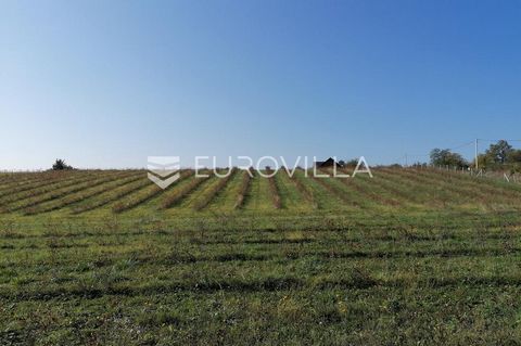 For sale is an exceptional plot of land located in Vrhovina, Garčin Municipality, Brod-Posavina County, in an ideal geographical location for fruit and wine growing, with a total area of 6 ha.The land is located along an asphalt road that runs along ...