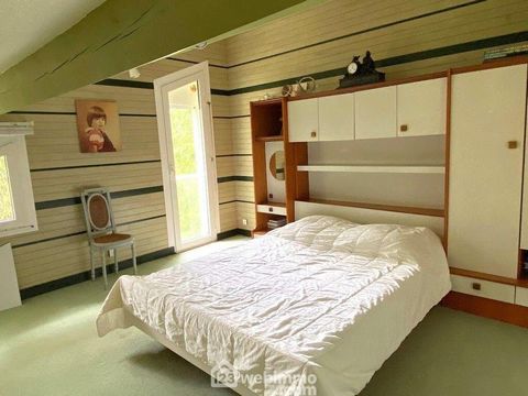 photo no. 6