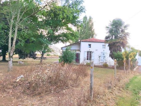 photo no. 2