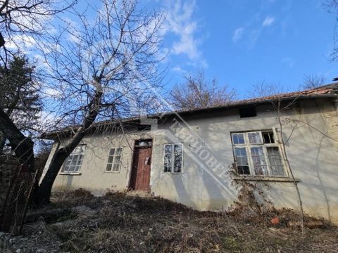 Imoti Tarnovgrad offers you a one-storey house in a quiet and peaceful mountain village with beautiful nature. It is located only 3 km from Dryanovo and 25 km southwest of the town of Veliko Tarnovo. The property has a total living area of 80 sq.m. a...