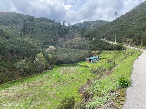 Estes terrenos rústicos na Serra do Açor oferecem uma paisagem exuberante, com riacho e ótima terra para cultivo, incluindo oliveiras e castanheiros. Uma nascente acima alimenta a ribeira ao longo de todo o ano, proporcionando um ambiente naturalment...