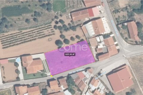 Identificação do imóvel: ZMPT569846 Parcela de terreno urbano con una superficie de 1277 m² (suelo 100% urbano), con un frente de 50 metros que permite la construcción de 2 casas unifamiliares o una gran villa. Situado en Horta, ciudad de Tamengos, e...