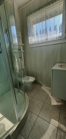 photo no. 7