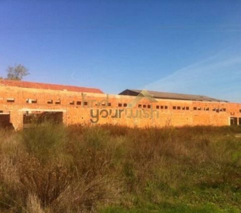 Bâtiment mixte dune superficie totale de 28 840 m2, où se trouve une unité industrielle (céramique), en mauvais état (ruine partielle). Les tunnels et les fours sont intacts. Il dispose de trois entrepôts, lun contenant les vestiaires et le 1er. étag...