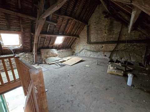 photo no. 5
