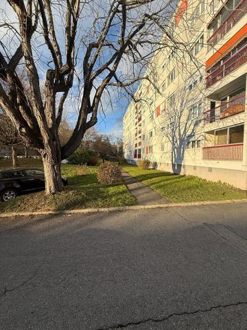 photo no. 1