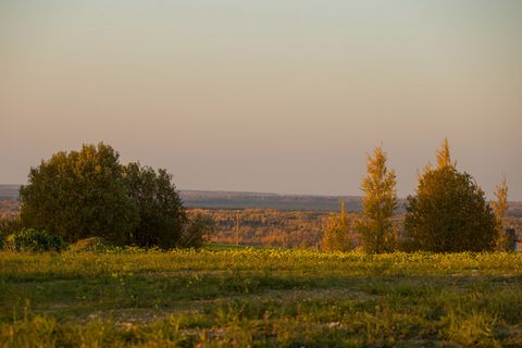 Участки Площадь от 11 до 30 соток. Собственник. Прямая продажа. Прописка! Уже есть названия улиц и № домов. 30 Минут от СПб и КАД. Инфраструктура: В расположенном неподалеку поселке Ропша есть прекрасная школа и новый детский сад с бассейном. Продукт...