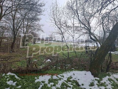 For more information, call us at: ... or 02 425 68 57 and quote the property reference number: St 86670. Responsible broker: Gabriela Gecheva We offer you a large plot of land in the regulation of the village of Dobrich, only 8 minutes from the munic...