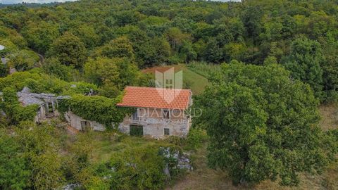 Location: Istarska županija, Oprtalj, Oprtalj. Istria, Oprtalj surroundings Istrian house for sale with a large plot of land in a quiet location near Oprtlje. It is a semi-detached house with an area of 160 m2. The house requires a complete adaptatio...