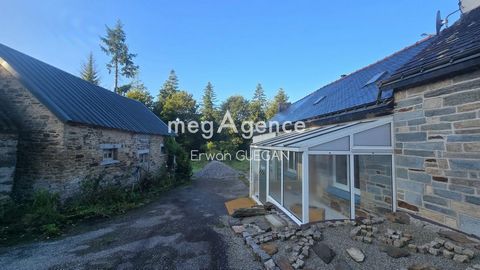 Longère, hangar, puits et terrain