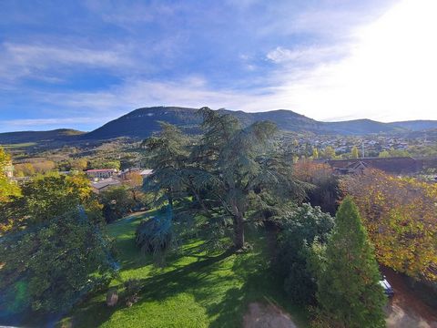 Magnifique maison de maître avec parc arboré  Millau