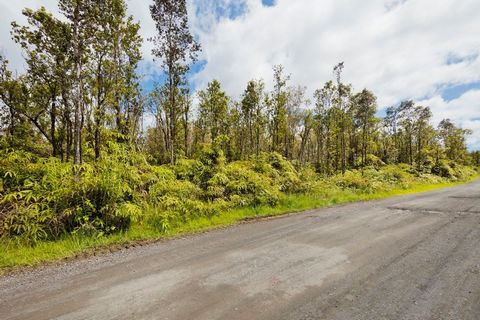 Esta hermosa propiedad de 3 acres pertenece a Ko Hawai'i Pae 'Aina y descansa en la Zona de Lava 3 en una próspera selva tropical nativa de Hawái en las laderas de Maunaloa. La propiedad se encuentra en el fraccionamiento Fern Forest Vacations Estate...