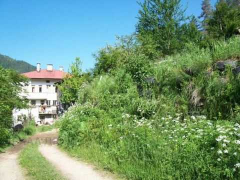 TEL: ... ;0301 69999/ WIR BIETEN EIN GRUNDSTÜCK VON 620M² ZUM VERKAUF AN. IM SCHÖNEN RHODOPENDORF SHIROKA LAKA AN EINEM RUHIGEN UND SONNIGEN ORT, DER VON WALD UMGEBEN IST. IN DER NÄHE ALLER VERBINDUNGEN. MIT DER MÖGLICHKEIT DER KONSOLIDIERUNG AUF 950...