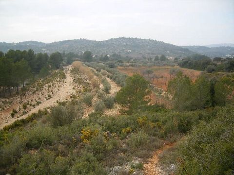 Olive farm, very pretty finca of 12665m2 , growing olives (over 100 trees so would produce a good income), kiwi and grapes for wine. Water is on the finca and the electric is very close. Stunning views. You could build a villa or a log cabin or site ...