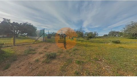 This beautiful rustic land is located in a quiet area, with access by a paved road. It is completely flat, with excellent sun exposure, which makes it ideal for agricultural projects. The land has electricity, communications and mains water in the im...