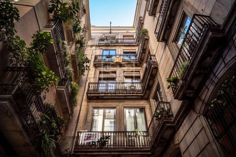 Здание, расположенное в самом сердце исторического центра Барселоны, в районе Раваль. Всего в 5 минутах от знаменитой улицы Ла Рамбла и рынка Бокерия, а также в 2 минутах от Музея современного искусства Барселоны (MACBA). Оживленный район с развитой ...