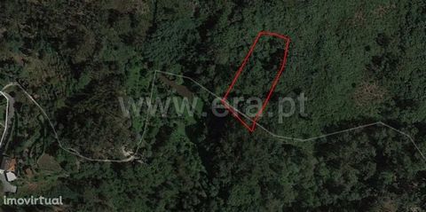 Land for plantations with 2,400 m2 in Vila Cova Land for plantations with 2,400 m2 and good sun exposure. Union of parishes of Freitas and Vila Cova It was the headquarters of a parish extinct in 2013, as part of a national administrative reform, to,...