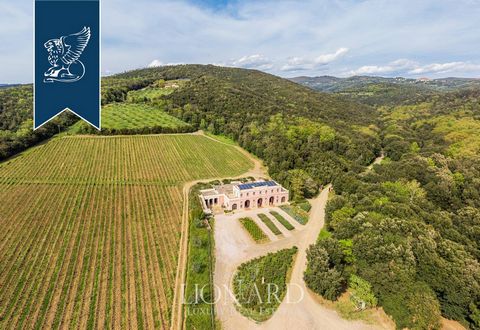 A few kilometres from Grosseto, in the intimate Tuscan countryside, there is this fantastic farm with a pool for sale. 185 hectares of land compose the immense spaces of this property, where expanses of olive trees, vineyards and forests alternate an...