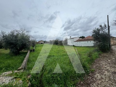 Excellent flat land in Alvaiázere with an area of 900m2 and also has a front of 22m2. In a quiet area of Alvaiázere, it provides a serene environment, however, being minutes from the centre, it allows you to enjoy all services and commerce, enhancing...