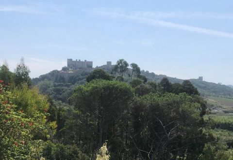 Postcard castle views. Excellent building plot with 10.000 m2 with old house in ruins that also can be renovated. Possibility of rebuilding the ruin up to 150m2. Open view of the famous Obidos Castle and surrounding countryside. Located just a few mi...