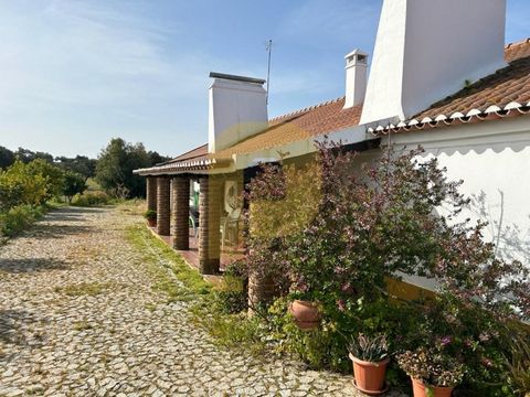 Property in the district of Évora, Arraiolos! Property in the district of Évora, Municipality of Arraiolos, with a total area of 22.24 hectares. The property consists mainly of a cork oak and holm oak forest, and with clean areas. It is fully fenced ...