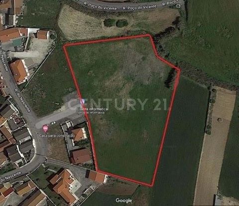 Land for investment in the construction of a Tourist Development in Rural Areas. With an area of 10,001 m2. The Request for Prior Information (PIP) submitted to the Municipal Council of Mafra, was duly approved by the municipal services, proving the ...